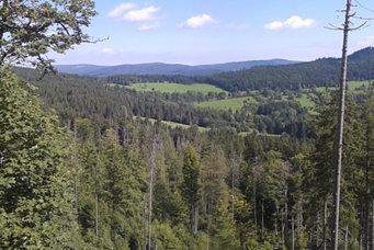 Lesy a ochrana přírody v NP Šumava