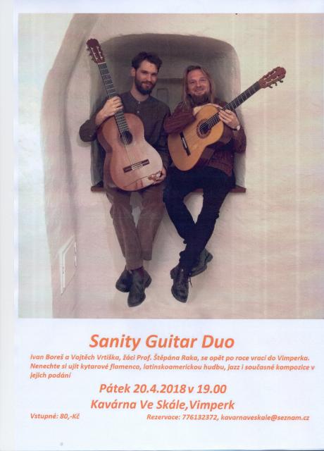 Sanity Guitar Duo