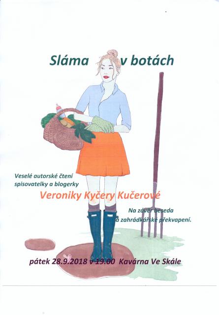 Sláma v botách