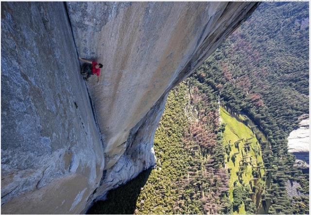 FREE SOLO