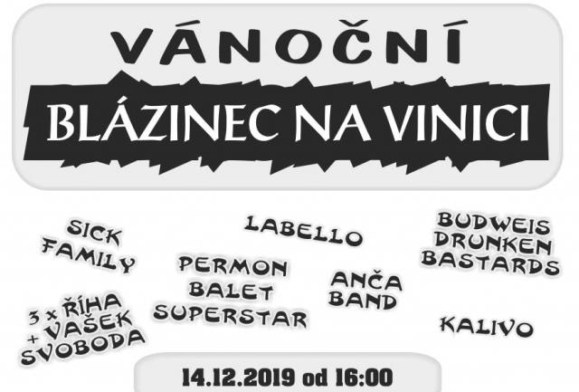 Vánoční blázinec Na Vinici