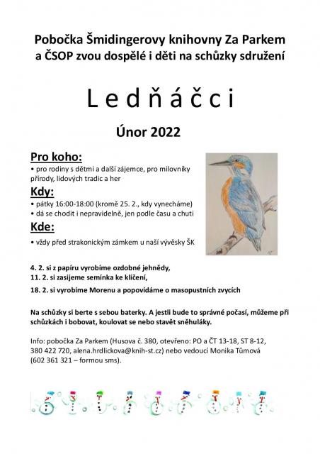 Ledňáčci