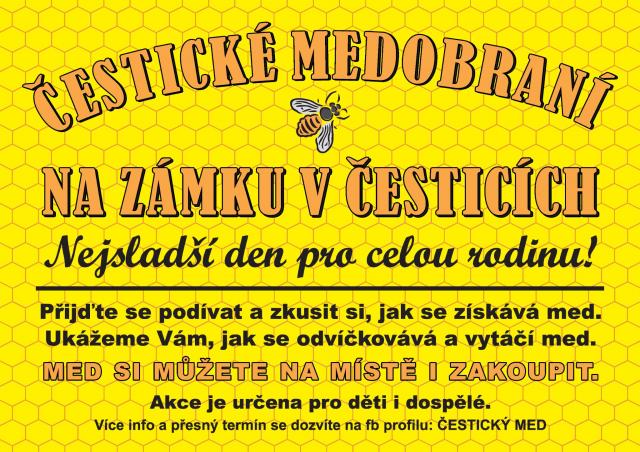 ČESTICKÉ MEDOBRANÍ