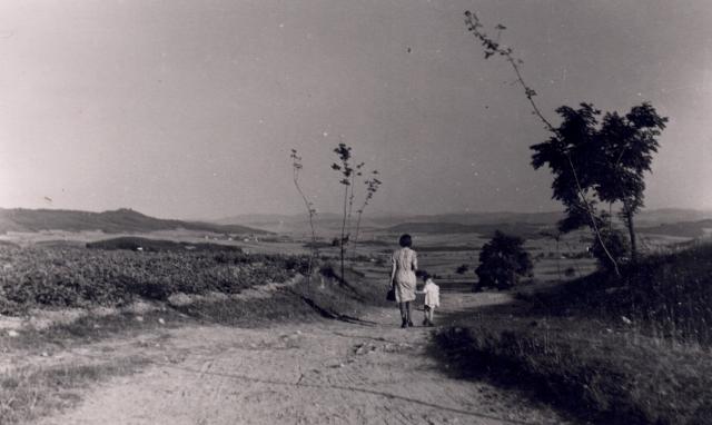 VENKOVSKÝ FOTOGRAF JAN PROVOD Z NEUSLUŽIC