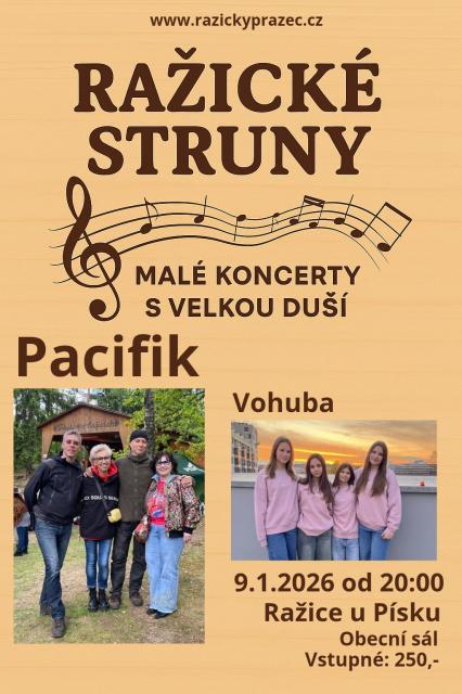 RAŽICKÉ STRUNY - malé koncerty s velkou duší