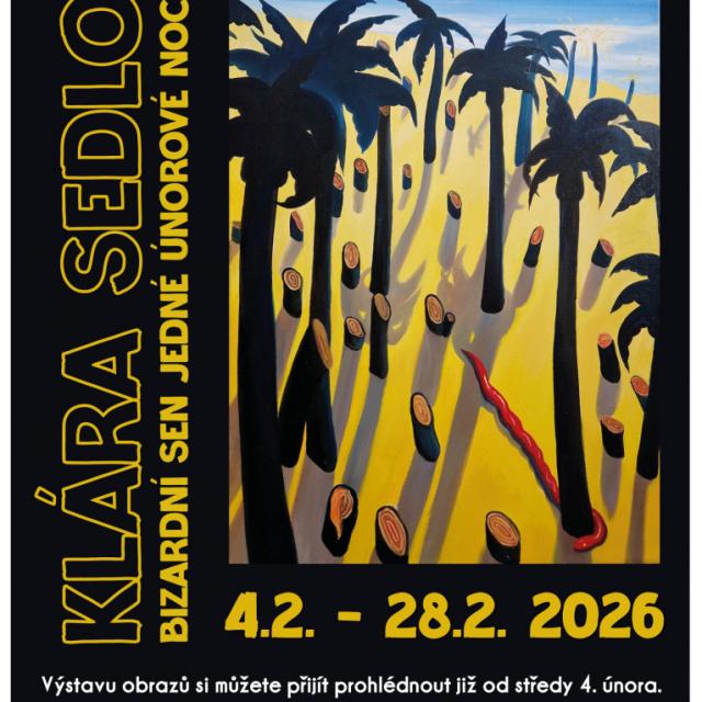 Klára Sedlo: Bizarní sen jedné únorové noci