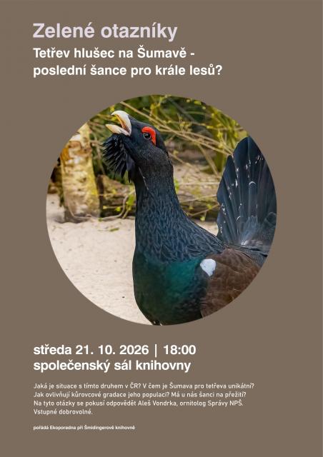 Zelené otazníky - Tetřev hlušec na Šumavě - poslední šance pro krále lesů?
