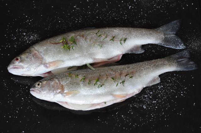 Rybářský den v Hoslovicích