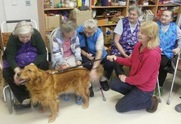 Volný čas v domově pro seniory