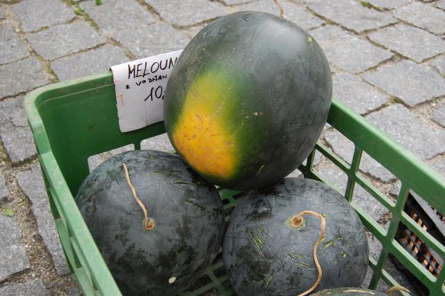 Strakonické farmářské trhy + Burza zdravého životního stylu