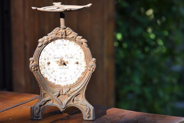 Jarní strakonický blešák