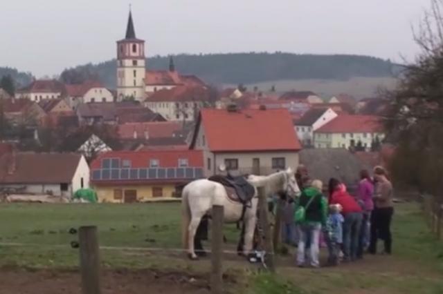 Děti relaxovaly na koňské farmě