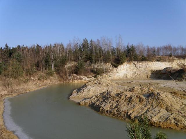 Přírodovědná exkurze do pískovny V Holi - úklid okolí lokality