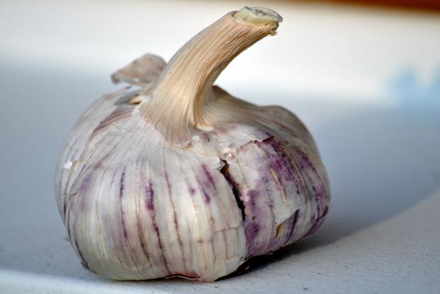 Přednáška na téma: Bio potraviny