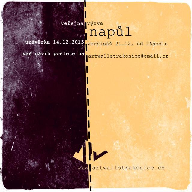 NApůl - veřejná výzva