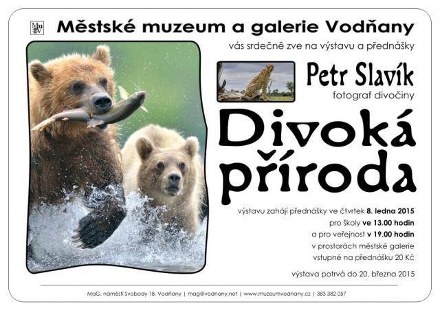 Divoká příroda