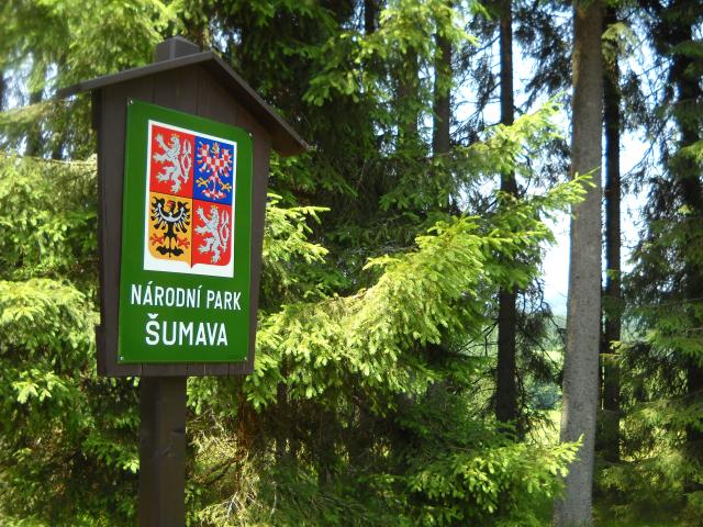 Zelené otazníky - Známe opravdu šumavské lesy?