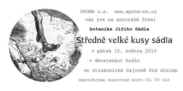 Středně velké kusy sádla