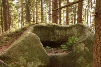 Přírodovědný výlet na Stožecko