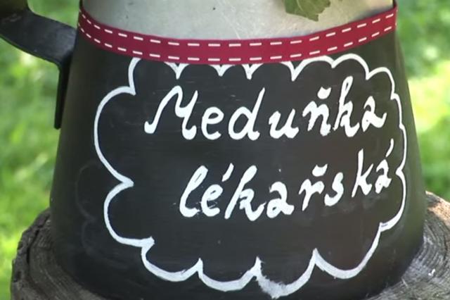 Toulavé boty - 16. díl