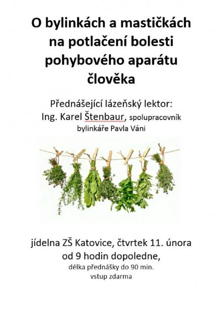 O bylinkách a mastičkách na potlačení bolesti pohybového aparátu člověka