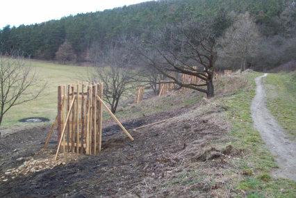 Přírodovědný výlet do Katovic