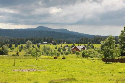 Přírodovědný výlet na Tetřev a Čertův vrch