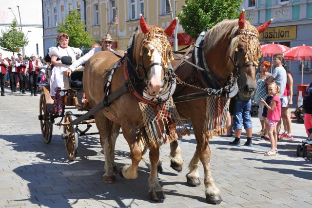Fotogalerie ze závěrečného dne MDF 2016