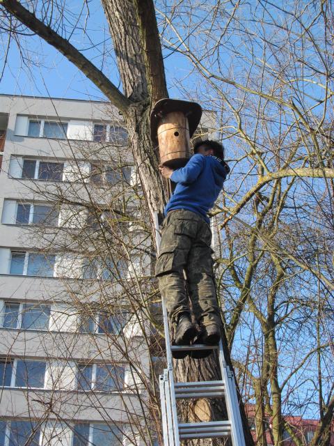 Předjarní čištění a instalace ptačích budek ve Strakonicích