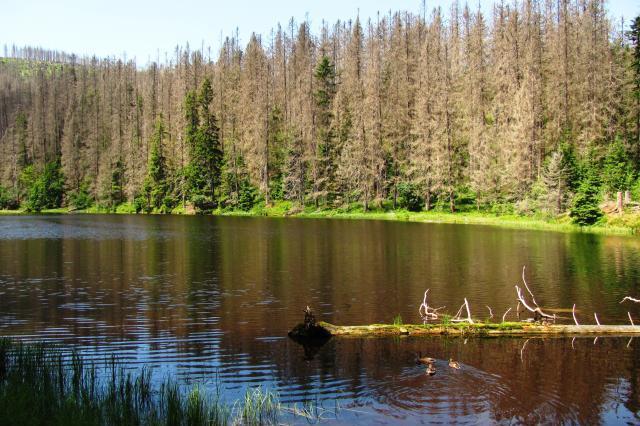 Šumava v písni a zajímavostech