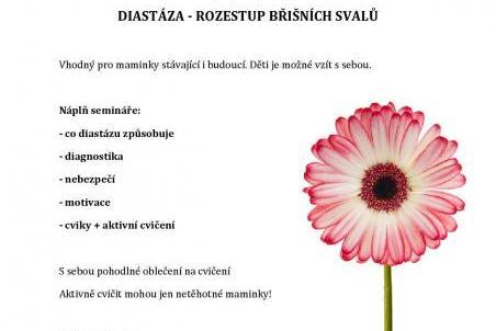 Diastáza - rozestup břišních svalů